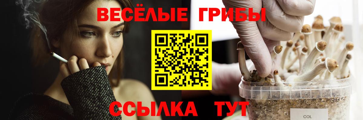 Салават  Псилоцибиновые грибы GOLDEN TEACHER  Псилоцибиновые грибы Cubensis  Вход с VPN 